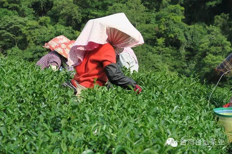 ّB|ƽ̨עᡤ(й)ֹٷվ¼ȫվ棬o