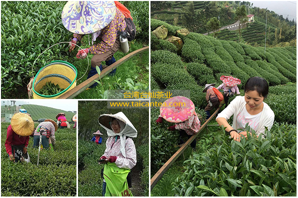 ²CQ9ӡ(й)ٷappվ޹˾ҫ_ҫֵ¼_ҫעƽ̨̨NIⰺ4(й)ƽ̨,עᳩĻ֮!XC sport(й)ֹٷվ¼ȫվbeat365(й)-ٷ֤վLr