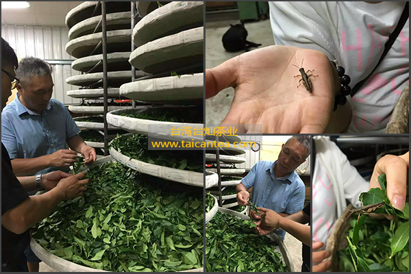 ²ҫ_ҫֵ¼_ҫעƽ̨2-Ƽܳ,ָȤ!̨NIèйPandaֱٷվ2-Ƽܳ,ָȤ!8long8()Ψһٷվ-HOMELr